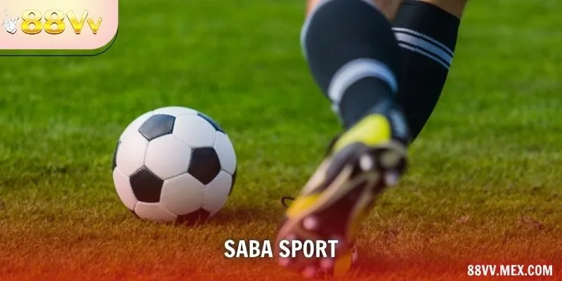 SABA Sport Và Những Bí Quyết Chơi Thắng Lớn Cho Người Mới