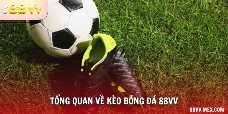 Tổng quan về kèo bóng đá 88VV